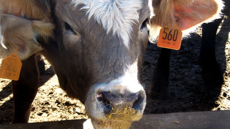 Food And Farm Texas660.jpg